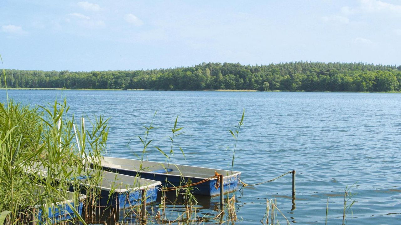 AreaSummer5KM AreaSummer5KM